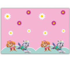 paw patrol skye & everest