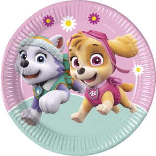 large skye paw patrol